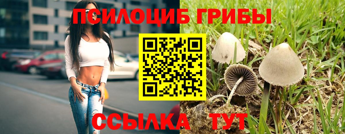 Alpha-PVP СК кристаллы  Гашиш  Вход с VPN  Можга  Конопля  Cocaine  Меф кристаллы 