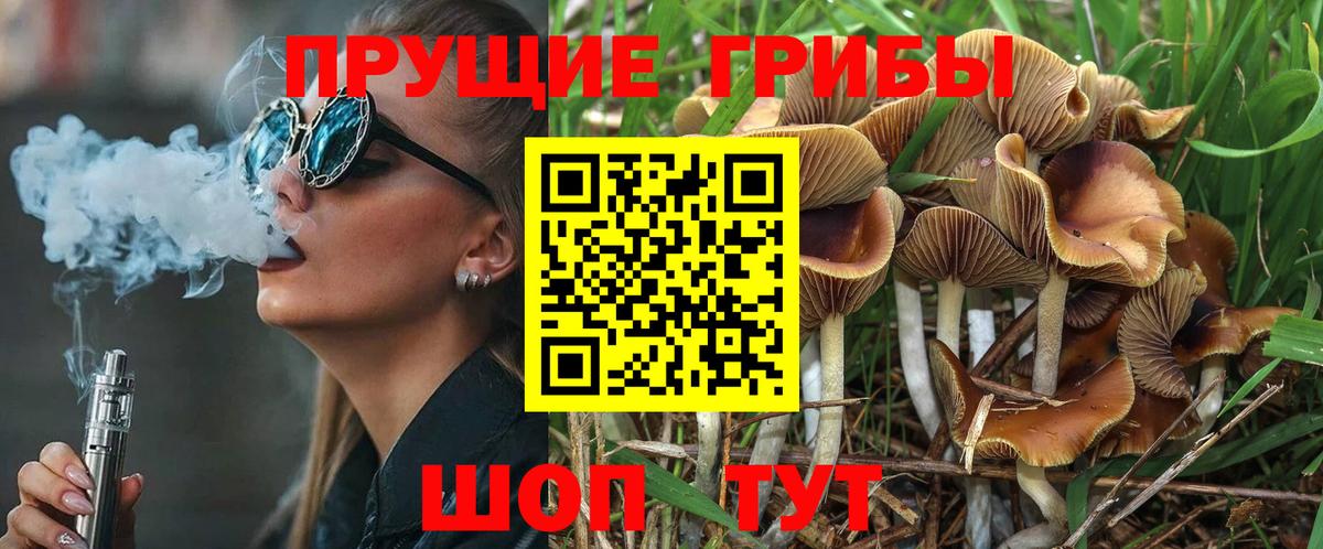 Псилоцибиновые грибы Psilocybine cubensis  Вход с VPN  Можга 