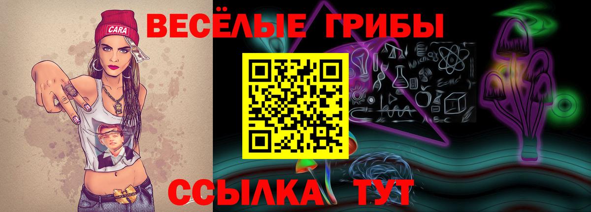 Псилоцибиновые грибы ЛСД Можга